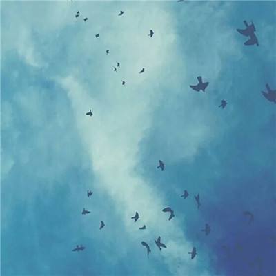 九游会AG手机app下载