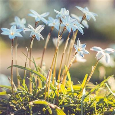 熊猫娱乐app手机app下载