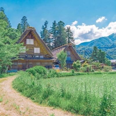 华体会体育下载手机版