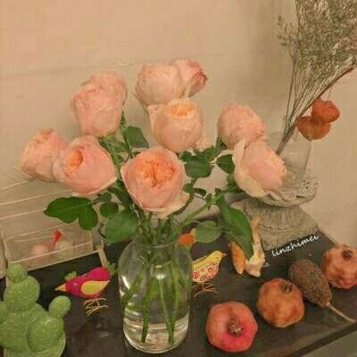 澳门天天免费资料大全下载