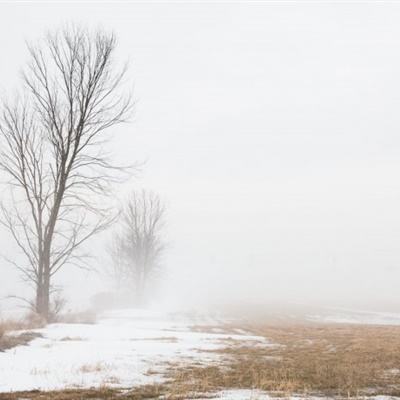 BO半岛综合app安全下载app下载